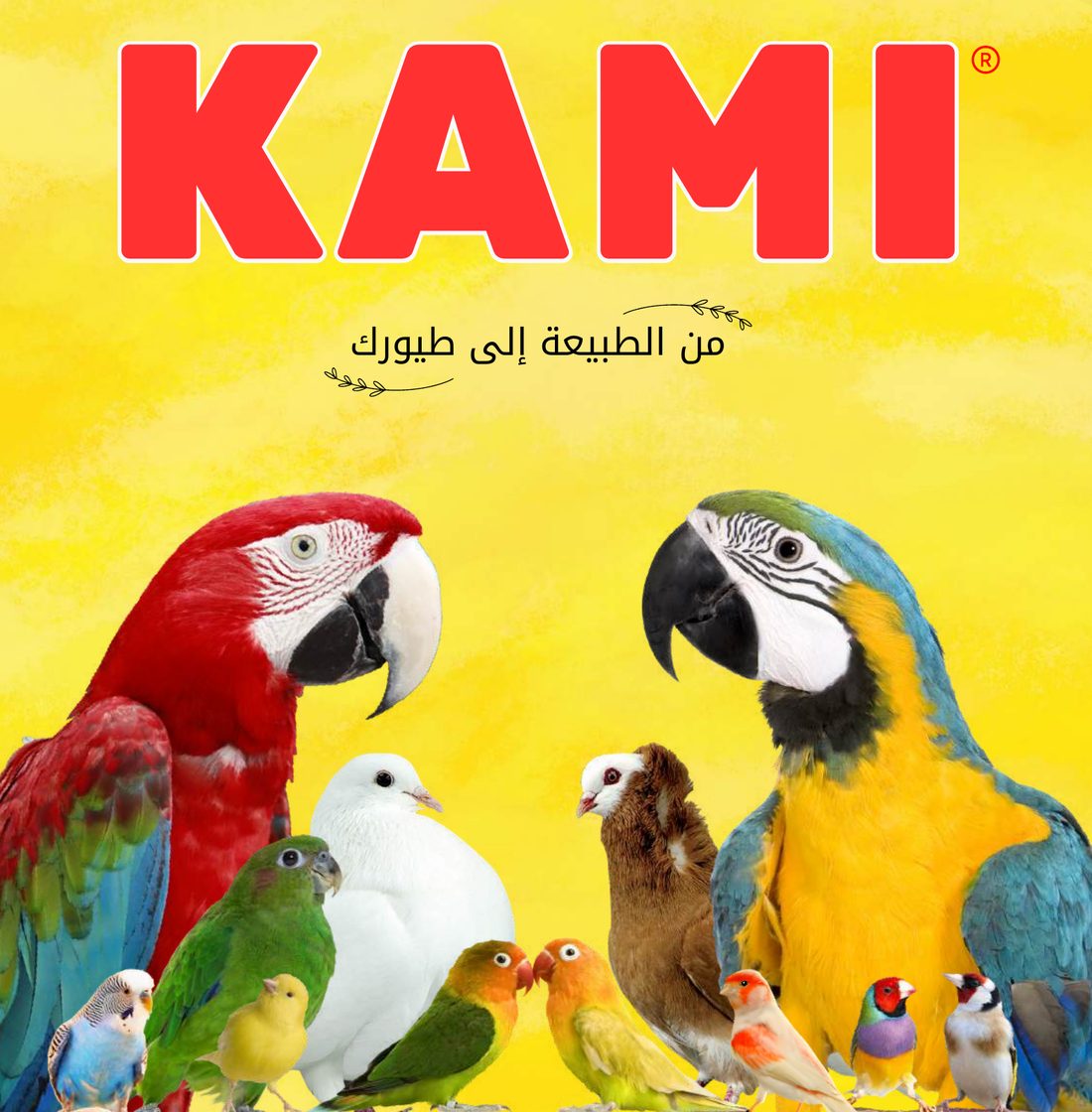 ببغاوات وكناري وحسون على غلاف KAMI