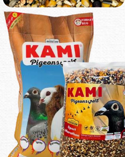 KAMI Pigeons Sport : Marathon